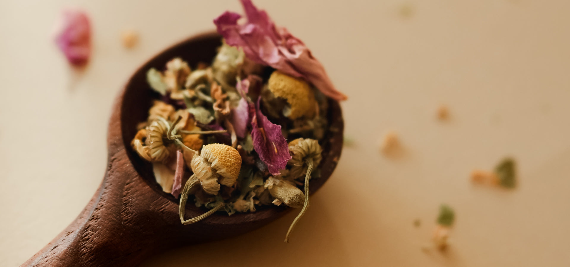slider image slider_item_GQPcbn